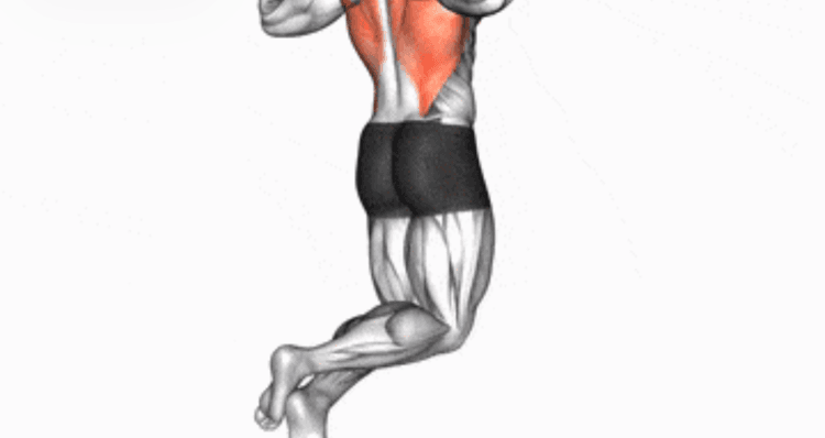 Pull-Up